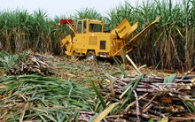 Top các doanh nghiệp mía đường lớn nhất năm 2012