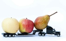 Công ty đa quốc gia nắm giữ 80% thị phần logistics Việt Nam