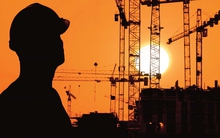 Thảm như họ Xây lắp Dầu khí