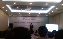 ĐHCĐ Ocean Group: Mức giá 500 tỷ cho kem Tràng Tiền là hợp lý