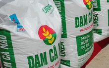 Thị trường bão hòa, IPO Đạm Cà Mau liệu có hấp dẫn?