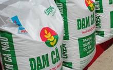 IPO Đạm Cà Cau: NĐT đặt mua 141 triệu cổ phần, vượt 10% so với lượng đấu giá