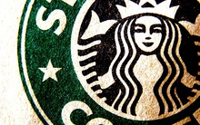 [Café tuần mới] Không có thành công nào được tạo nên bởi may mắn!