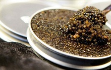 10 loại thức ăn quý hiếm và đắt giá nhất thế giới 