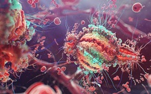 Đã tìm ra phương pháp chữa bệnh AIDS