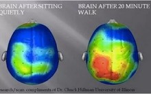  Hãy tạm dừng lướt web, chơi game... Đứng lên và đi bộ để sống lâu và khỏe mạnh hơn