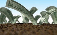 Bất động sản tháng 8: Những bất ngờ đầy thú vị