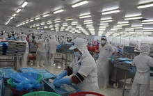 Năm 2015, ngành thủy sản sẽ bứt phá ngoạn mục