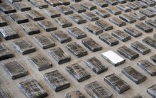 Mại dâm, ma túy chiếm 12% GDP Italy