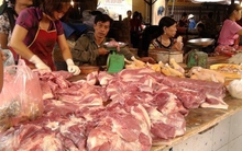 Ám ảnh 2012: Loạn thực phẩm bẩn, độc hại