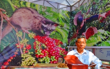 Cà phê chồn đắt nhất hành tinh sản xuất ở Việt Nam