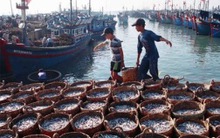 Kinh tế biển và mục tiêu góp một nửa GDP vào 2020