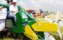 Tái cơ cấu nông nghiệp: Nên bắt đầu từ đâu?