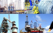 Số tập đoàn Nhà nước sẽ chỉ... đếm đầu ngón tay