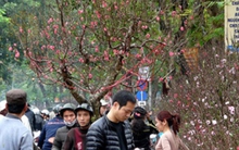 Nghỉ Tết Nguyên đán thực tế vẫn chỉ có 5 ngày