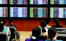 Năm 2013: Quy mô thị trường chứng khoán đạt 31% GDP