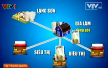 “Hành trình” của nấm không rõ nguồn gốc đến siêu thị 