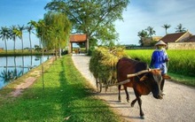 Bao nhiêu tiền đã chi cho giảm nghèo?