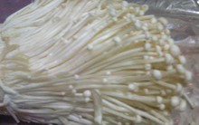 Nấm lạnh ngoại nhập chiếm lĩnh thị trường phía Nam