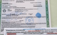 Nghi ngờ số vốn 100 tỉ USD đổ vào Việt Nam