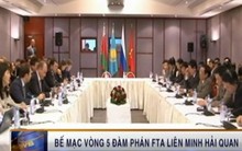 Bế mạc vòng 5 đàm phán FTA Việt Nam – Liên minh Hải quan 