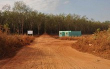 Quốc hội xem xét dự án sân bay Long Thành tháng 5/2014 