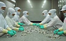 Xuất nhập khẩu Khánh Hội: LNSTquý I/2014 tăng 25% so với cùng kỳ