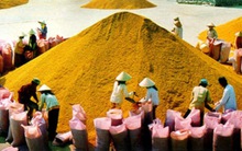 Nền kinh tế thoát đáy