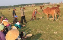 Ủy ban kinh tế QH bắt đầu 'nóng ruột' vì nông nghiệp