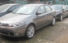 Giả danh Việt kiều để nhập khẩu xe sang về cảng biển 