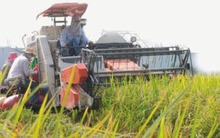 Bức tranh tương lai của Vinafood 2 là gì?