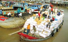 Lợi dụng lòng tin, thương lái lừa đảo nông dân thu mua lúa 