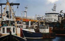 Vì sao “đại gia Sài Gòn” không được nhập 100 tàu cá “nghĩa địa”?