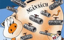 Thu chi ngân sách được thực hiện như thế nào?