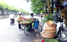 Đề xuất mở rộng quỹ bảo hiểm tai nạn lao động cho lao động tự do