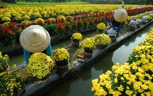 Trình hai phương án nghỉ Tết Nguyên đán 7 hoặc 9 ngày 