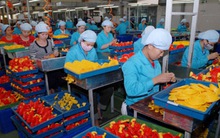 Việt Nam đang dốc sức để cải cách thủ tục hành chính 