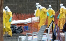 WHO xác nhận ít nhất 2.296 ca tử vong do dịch bệnh Ebola