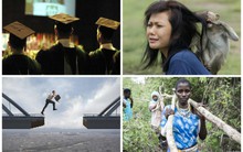 [Nổi bật] Giá xăng giảm 330 đồng/lít, muốn giàu đừng học cao