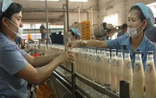 Cuộc chiến thương hiệu Việt: Dấu chấm hết cho Tribeco