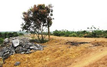 Nhà máy xi măng nghìn tỷ nợ từ kỹ sư đến nông dân 