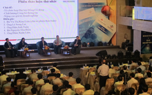 Thông tin minh bạch khiến các “đội lái” phải chùn tay