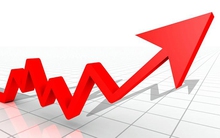 DPC, TNC, SDP, HSG: Thông tin giao dịch lượng lớn cổ phiếu