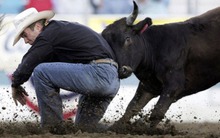 Nhiều doanh nghiệp lỗ 3 năm liên tiếp, án huỷ niêm yết treo lơ lửng