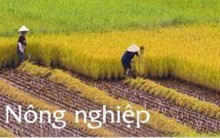 PAN: TGĐ và công ty của TV. HĐQT chi hơn 32 tỷ đồng mua cổ phần phát hành riêng lẻ