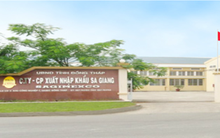 Sagimexco (SGC) tăng trưởng 32% lợi nhuận năm 2013, vượt 13% kế hoạch 