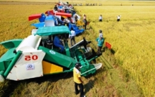 Giáo sư - Tiến sĩ Võ Tòng Xuân: Đầu tư vào nông nghiệp, đất nước giàu nhanh hơn