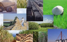 Chuẩn bị “khoảng đệm” an toàn cho nền kinh tế 