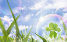 VPH, BMC, ASP, NLG, TMT: Thông tin giao dịch lượng lớn cổ phiếu