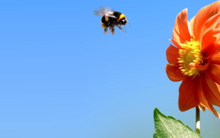 PSI, TET, TKU, LTC, NAG, DRH, HVG, STB: Thông tin giao dịch lượng lớn cổ phiếu